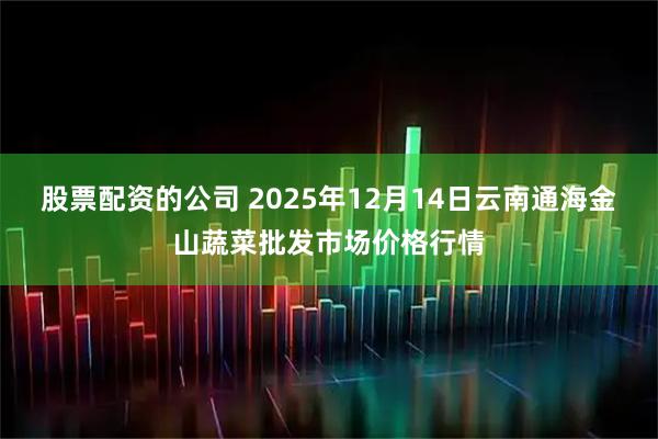 股票配资的公司 2025年12月14日云南通海金山蔬菜批发市场价格行情