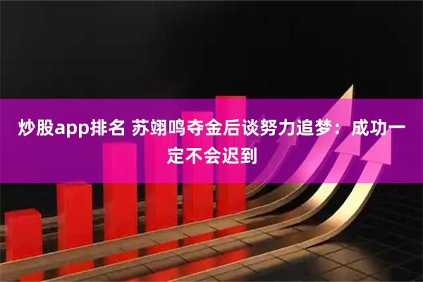 炒股app排名 苏翊鸣夺金后谈努力追梦：成功一定不会迟到