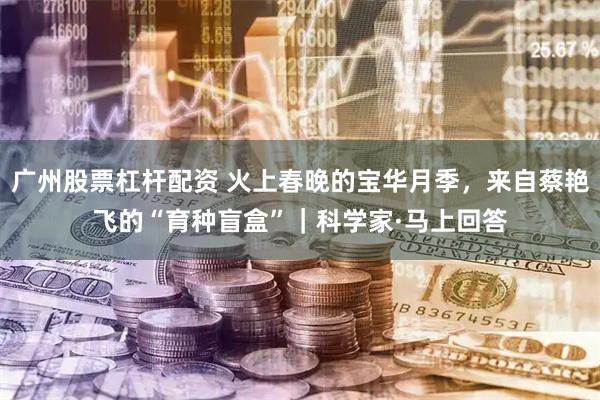 广州股票杠杆配资 火上春晚的宝华月季，来自蔡艳飞的“育种盲盒”｜科学家·马上回答