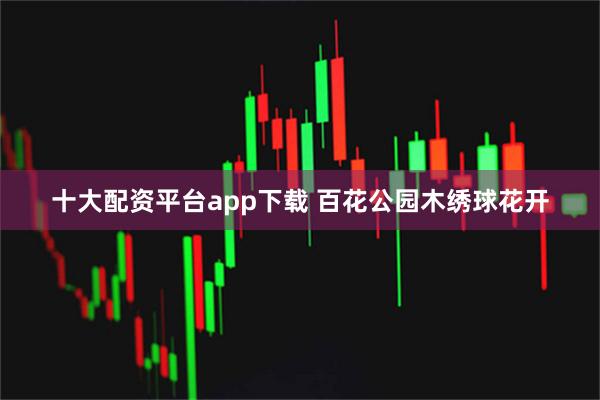 十大配资平台app下载 百花公园木绣球花开